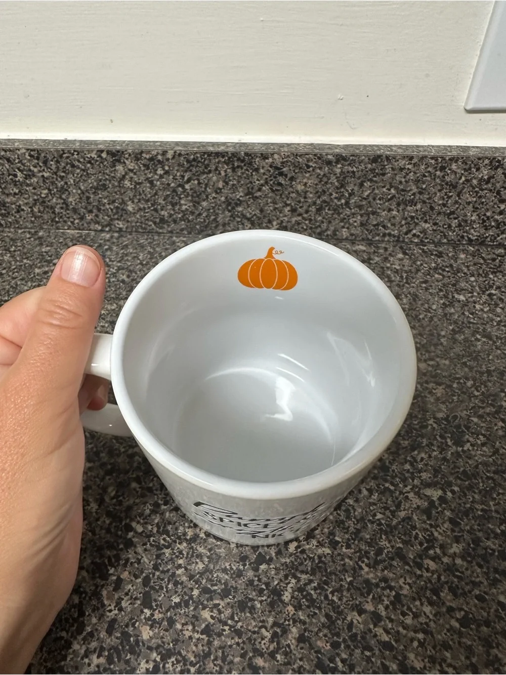 Pumpkin Spice Coffee Mug 20oz